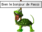 bjrPasco :bjrPasco