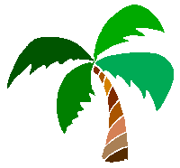 :palmier