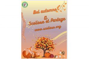 AUTOMN SITE