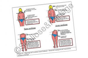 brochure